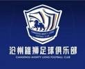 媒体人:沧州雄狮没解决全部球员清欠,协议有争议准入进展不大